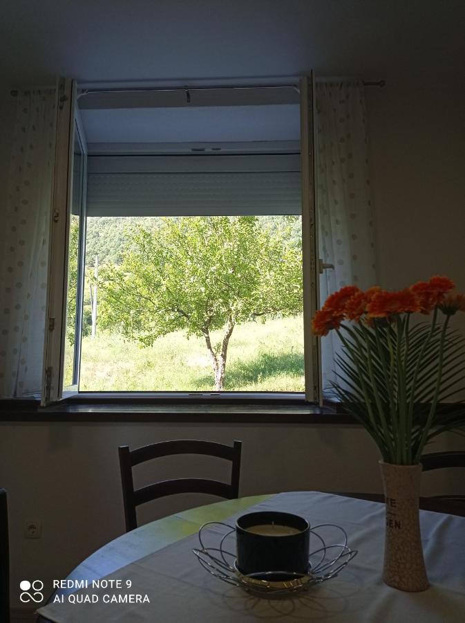 Studio Apartman Sonja 오토칵 외부 사진